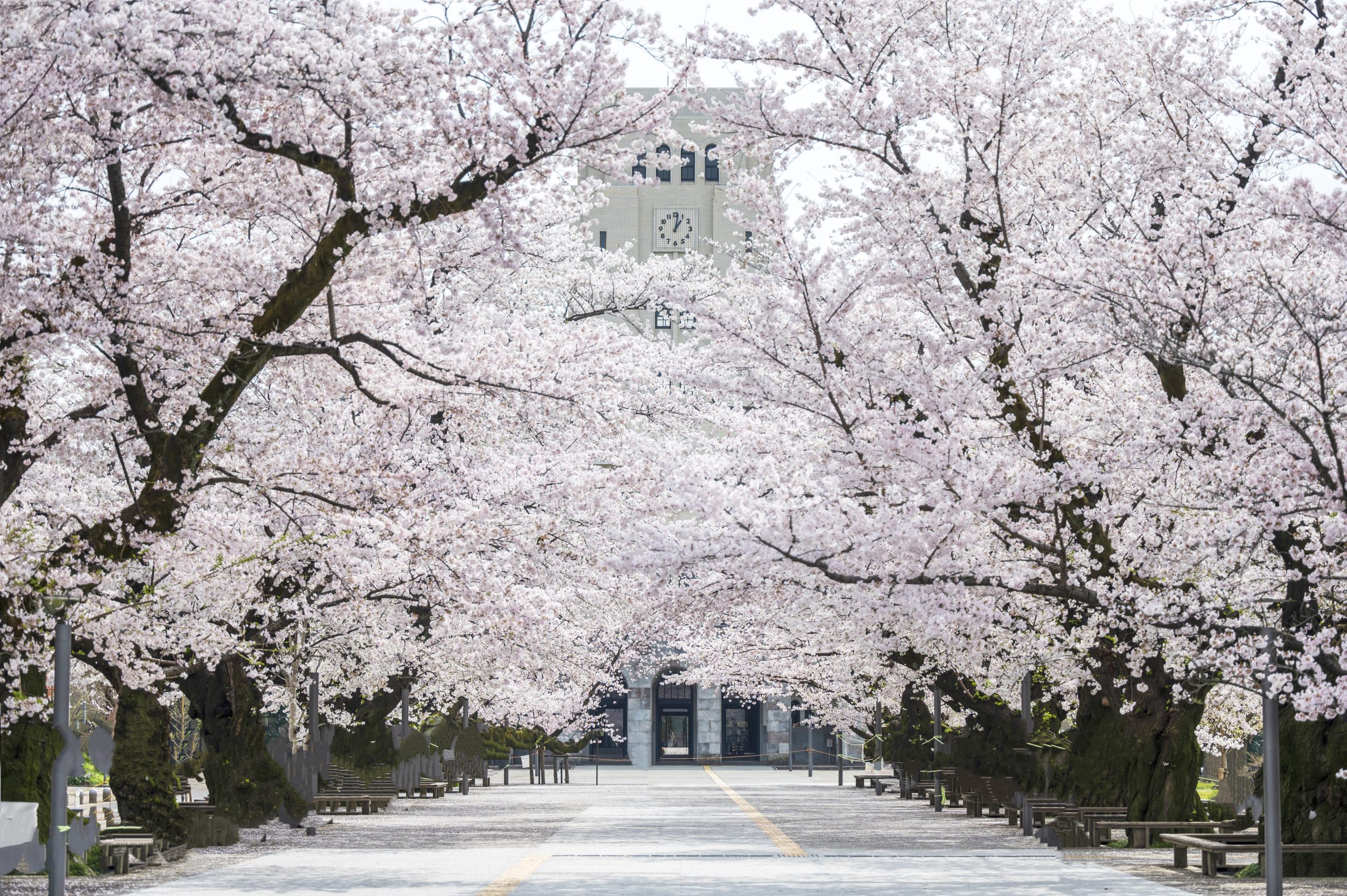令和9年度入学案内