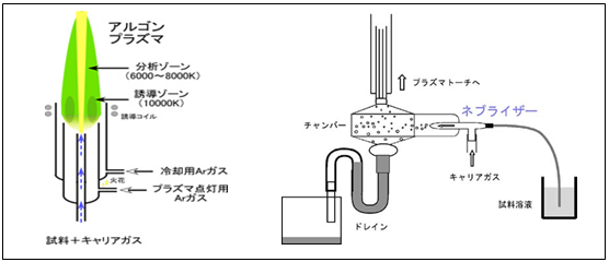 テキスト ボックス:              